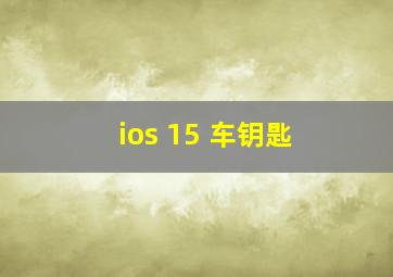 ios 15 车钥匙